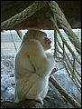 DSCF0141.JPG